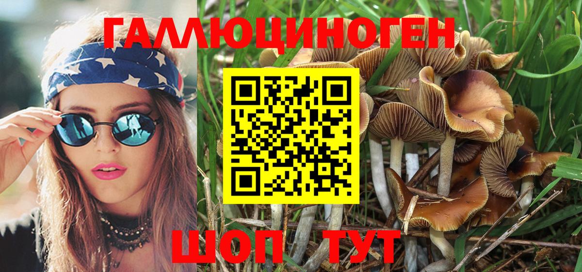 где можно купить наркотик  Псилоцибиновые грибы MAGIC MUSHROOMS  Вход с VPN  Алейск 