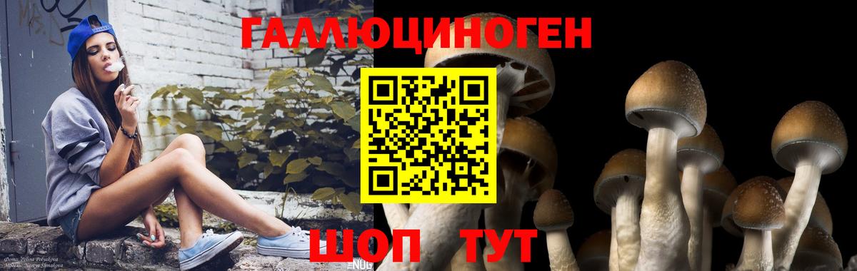 Псилоцибиновые грибы MAGIC MUSHROOMS Алейск